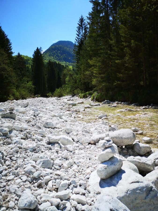 Apartma Lucijana Mojstrana Luaran gambar