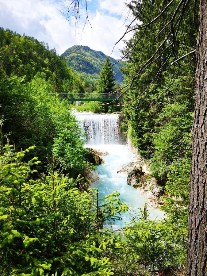 Apartma Lucijana Mojstrana Luaran gambar